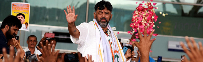mla